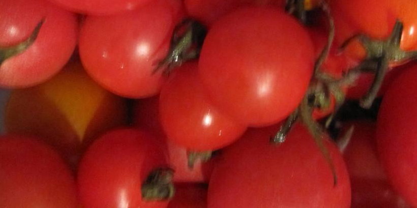 Fresh Local Cherry Tomato