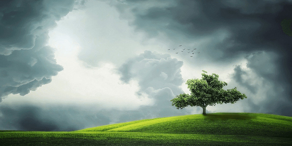 Storm in a field with a tree
