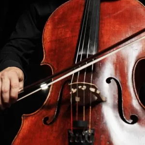 a musician playing a cello