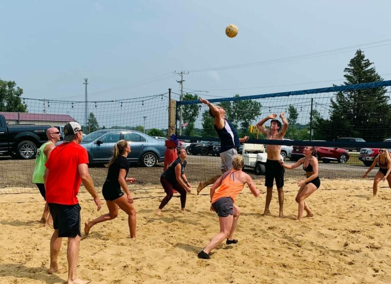 BD volleyball 11 768x558