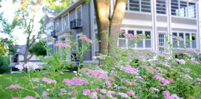 Brackett House flowers 768x379