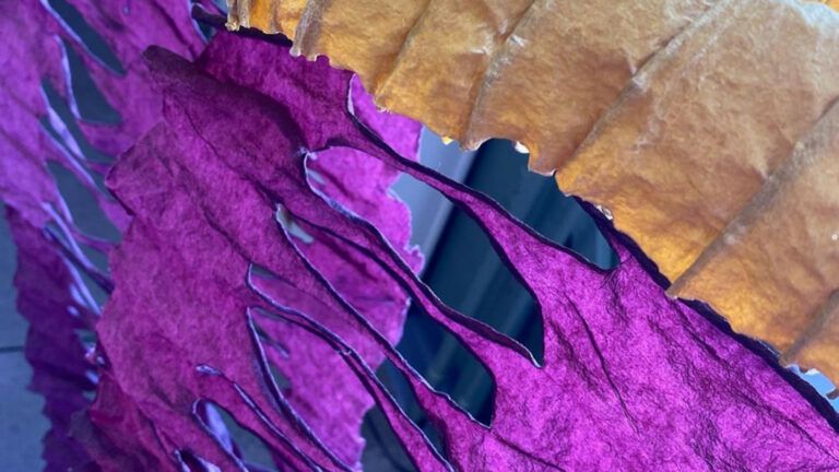PR purple 768x432