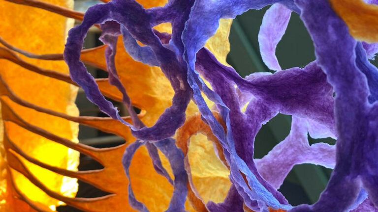 PR purple and orange 768x432