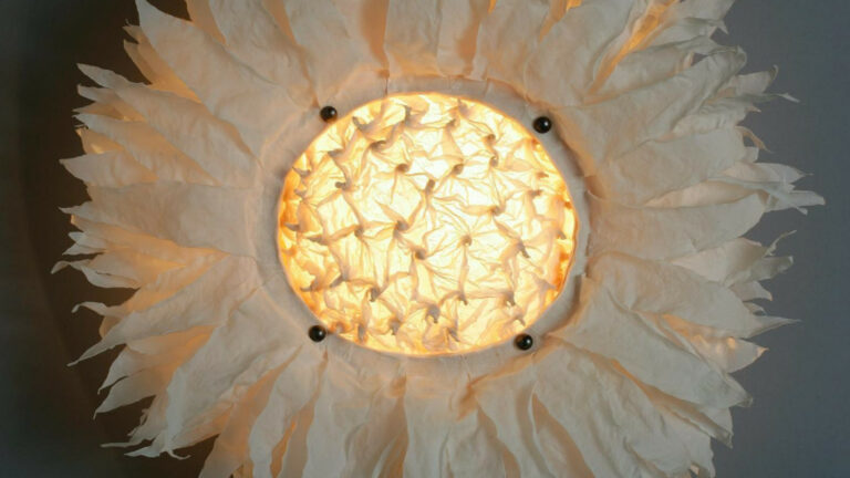 PR white sunflower 768x432