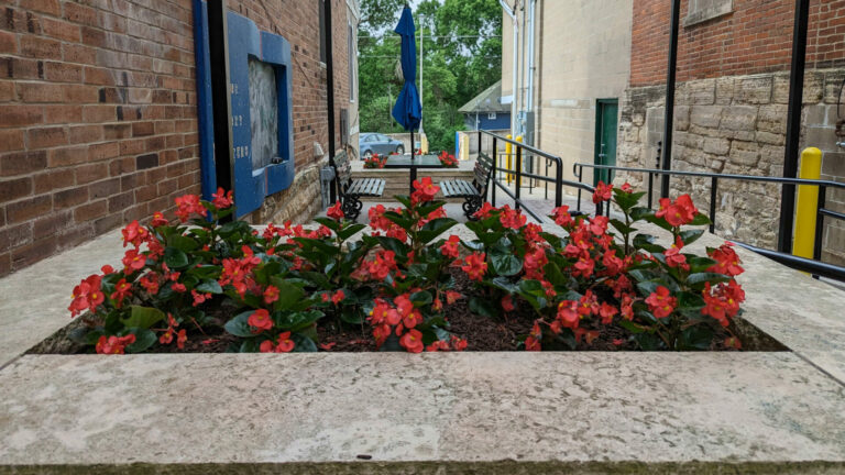 HPP flowers.1 768x432
