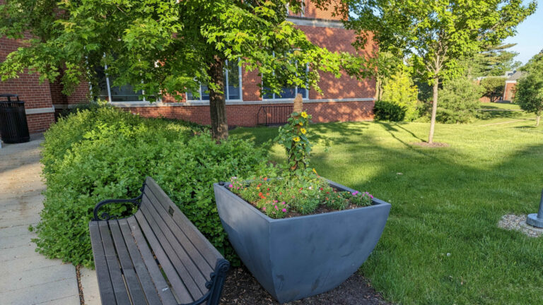 RDCL flowers.1 768x432