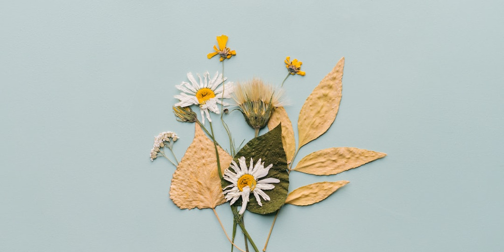 Pressed Flowers