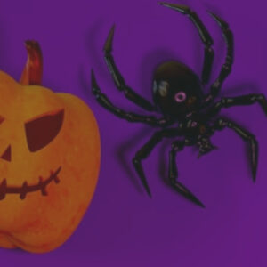 Jack-O-Lantern and Spider with purple background
