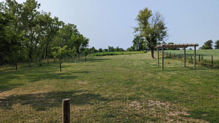 Nancy Doreen Huffman Dog Park park.1 768x432