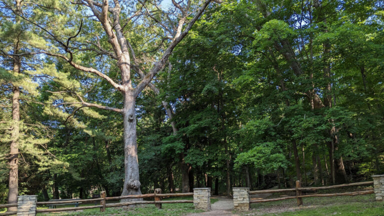 Palisades Kepler trail entrance 768x432