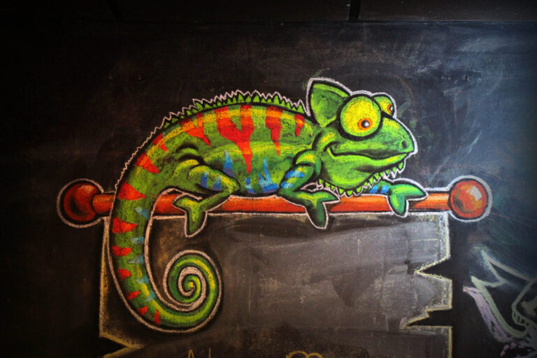 Chameleons cool chameleon chalk art 768x512