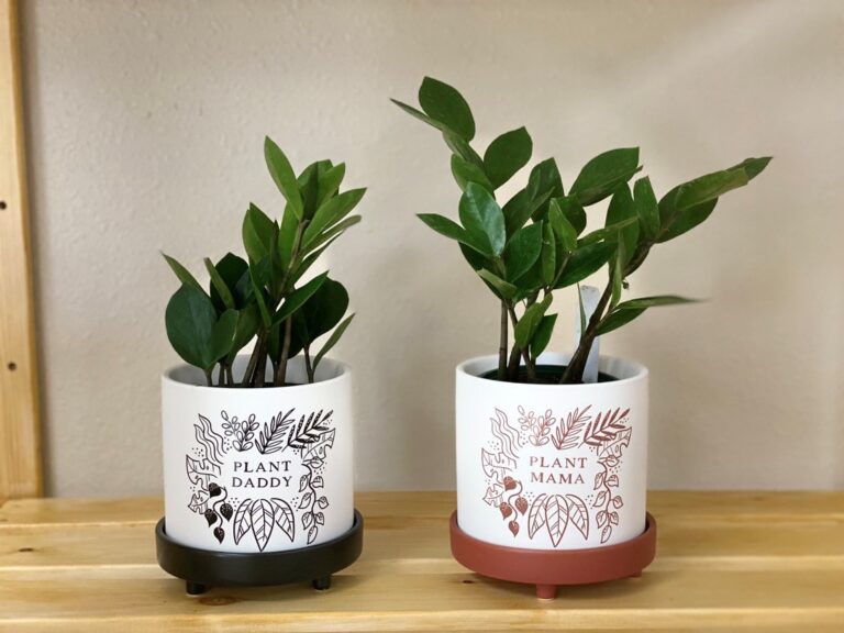 plant daddy and mama 768x576