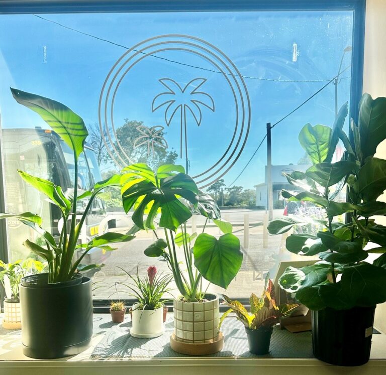 sunny window 768x747
