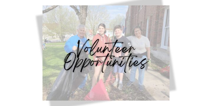 Local Volunteer Options